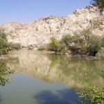 El Galacho de Juslibol de Zaragoza