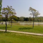 Prado verde en el parque del Tío Jorge de Zaragoza
