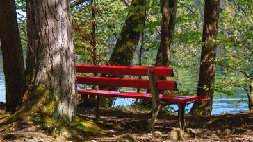 Banco rojo en medio de la naturaleza