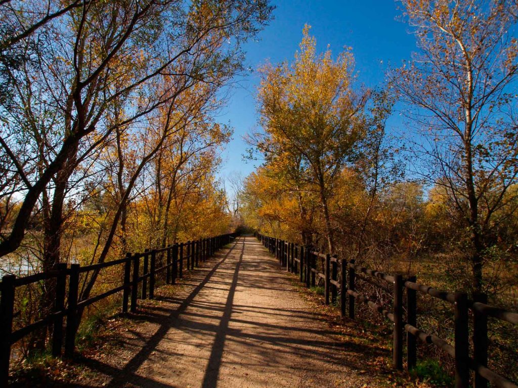 Camino que lleva a los Galachos de Juslibol, otras de las rutas para disfrutar