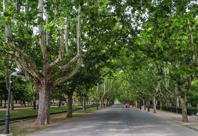 El Paseo de los Bearneses del Parque Grande José Antonio Labordeta en Zaragoza