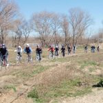 Un grupo de ciclistas haciendo una de las rutas, por una senda de tierra entre chopos