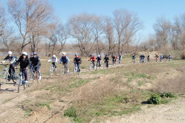 Un grupo de ciclistas haciendo una de las rutas, por una senda de tierra entre chopos